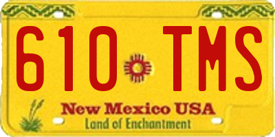 NM license plate 610TMS