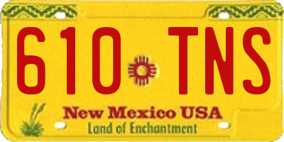 NM license plate 610TNS