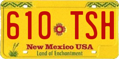NM license plate 610TSH
