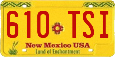 NM license plate 610TSI