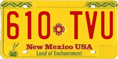 NM license plate 610TVU