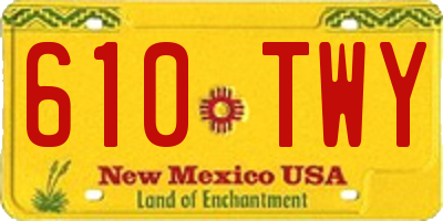 NM license plate 610TWY