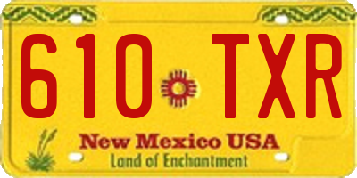 NM license plate 610TXR