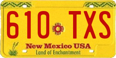 NM license plate 610TXS