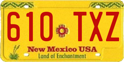 NM license plate 610TXZ