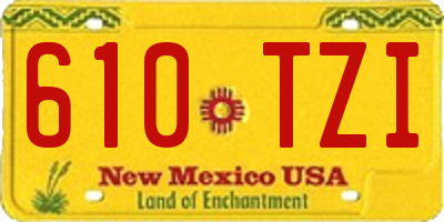 NM license plate 610TZI