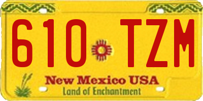 NM license plate 610TZM