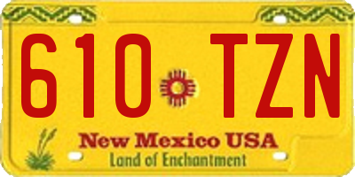 NM license plate 610TZN