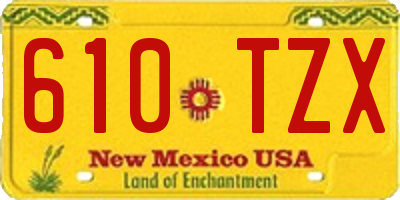 NM license plate 610TZX