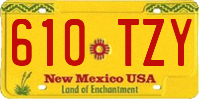 NM license plate 610TZY