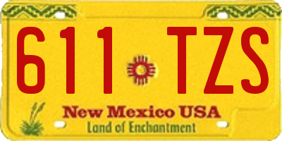 NM license plate 611TZS