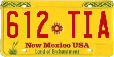 NM license plate 612TIA