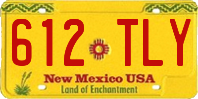 NM license plate 612TLY