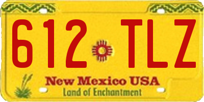 NM license plate 612TLZ