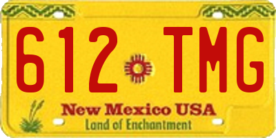 NM license plate 612TMG