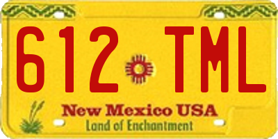 NM license plate 612TML