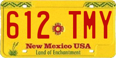 NM license plate 612TMY
