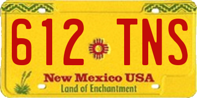 NM license plate 612TNS