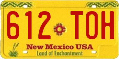 NM license plate 612TOH