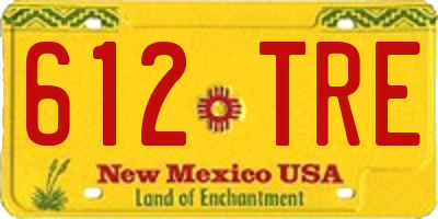 NM license plate 612TRE