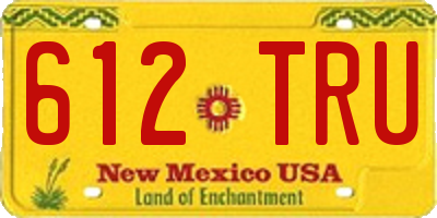 NM license plate 612TRU