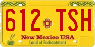 NM license plate 612TSH