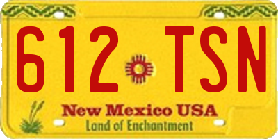 NM license plate 612TSN
