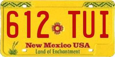 NM license plate 612TUI