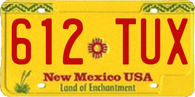NM license plate 612TUX