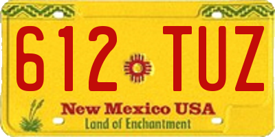 NM license plate 612TUZ