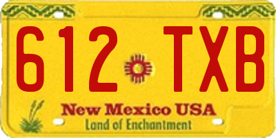 NM license plate 612TXB