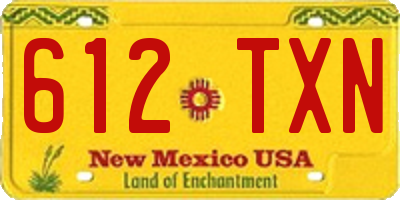 NM license plate 612TXN