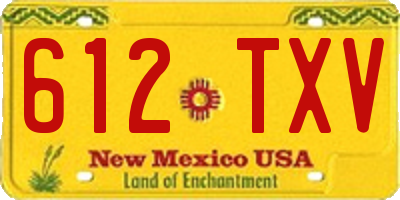 NM license plate 612TXV