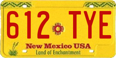 NM license plate 612TYE