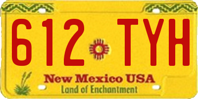 NM license plate 612TYH