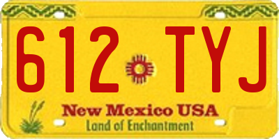 NM license plate 612TYJ