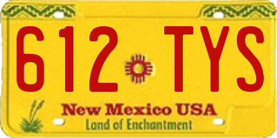 NM license plate 612TYS
