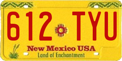 NM license plate 612TYU