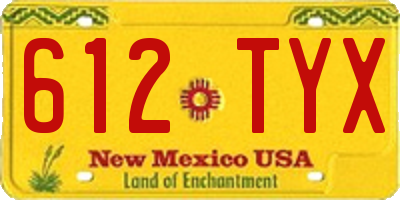 NM license plate 612TYX