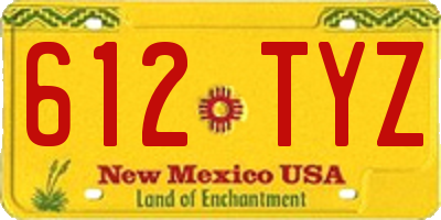 NM license plate 612TYZ