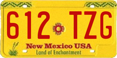 NM license plate 612TZG