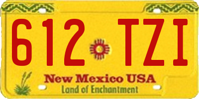 NM license plate 612TZI