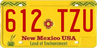 NM license plate 612TZU