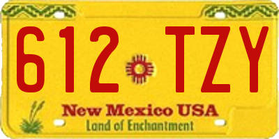 NM license plate 612TZY