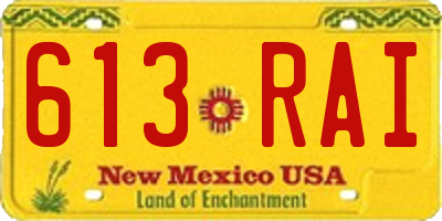 NM license plate 613RAI