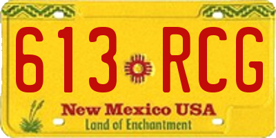 NM license plate 613RCG