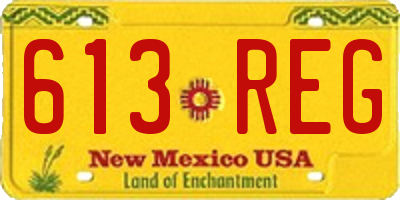 NM license plate 613REG