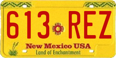 NM license plate 613REZ