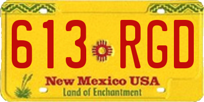 NM license plate 613RGD