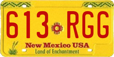 NM license plate 613RGG